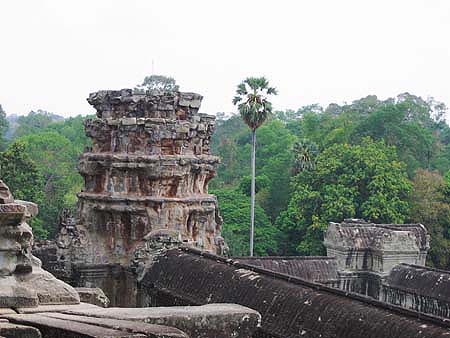 mitten_im_jungle_angkor_wat