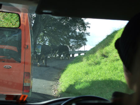 strassenblockade