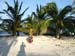 warten_caye_caulker_belize