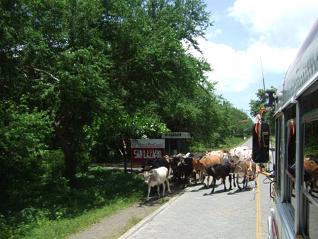 bahnfrei_charco_verde_ometepe_nic