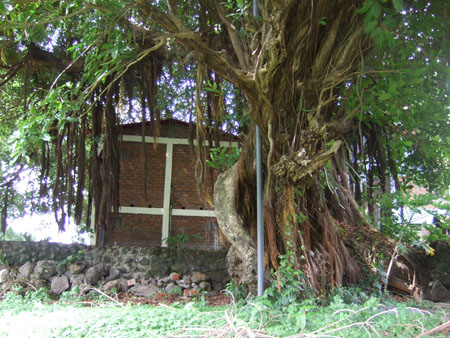 hotelgarten2_charco_verde_ometepe_nic