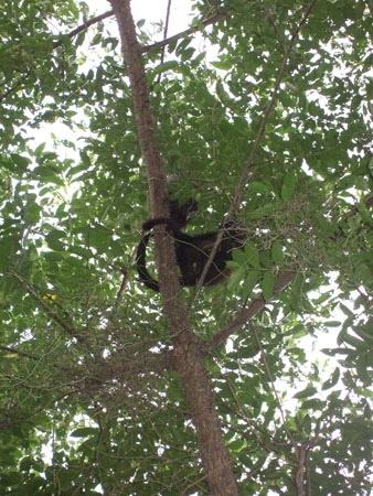 mamaundbaby_charco_verde_ometepe_nic