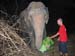 biddeschoen_elephants_friends