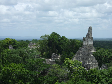 blickvontempelfuenf_flores_tikal_guat