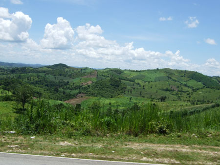 landschaft1_bus_nach_flores