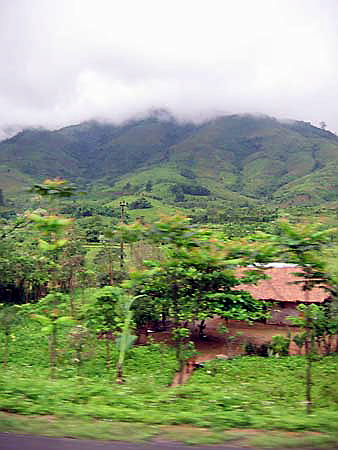 gruenes_vietnam_busweg_nach_hue.jpg