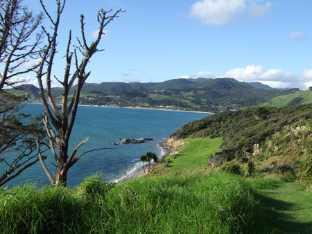 angelausflug1_waimamakubeach_wwoof1_kaikohe