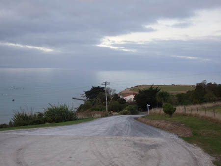 kaikoura_huegel_whalewatch_nz