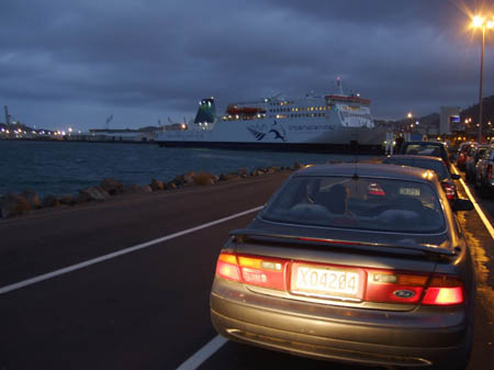 nachtfaehre_wellington_picton_whalewatch_nz