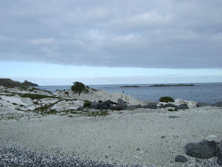 strand_whalewatch_nz